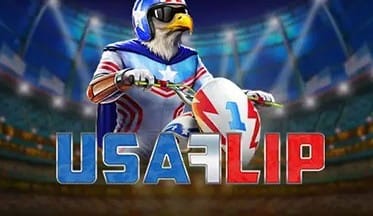 USA Flip
